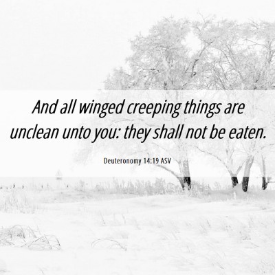 Picture 06 - Deuteronomy 14:19 ASV - And all winged creeping things are unclean unto - Bible Verse Picture