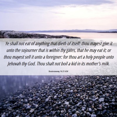 Picture 06 - Deuteronomy 14:21 ASV - Ye shall not eat of anything that dieth of - Bible Verse Picture