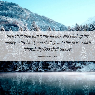 Picture 06 - Deuteronomy 14:25 ASV - then shalt thou turn it into money, and bind up - Bible Verse Picture
