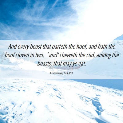 Picture 06 - Deuteronomy 14:6 ASV - And every beast that parteth the hoof, and hath - Bible Verse Picture