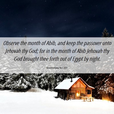 Picture 06 - Deuteronomy 16:1 ASV - Observe the month of Abib, and keep the passover - Bible Verse Picture