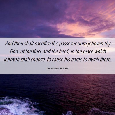Picture 06 - Deuteronomy 16:2 ASV - And thou shalt sacrifice the passover unto - Bible Verse Picture