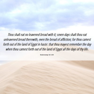 Picture 06 - Deuteronomy 16:3 ASV - Thou shalt eat no leavened bread with it; seven - Bible Verse Picture