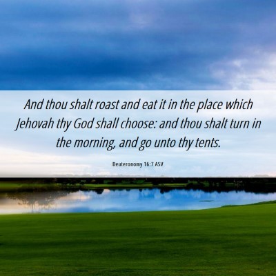Picture 06 - Deuteronomy 16:7 ASV - And thou shalt roast and eat it in the place - Bible Verse Picture