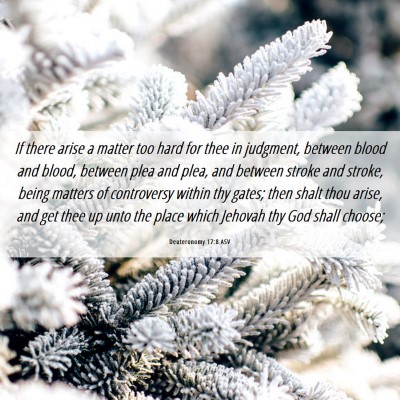 Picture 06 - Deuteronomy 17:8 ASV - If there arise a matter too hard for thee in - Bible Verse Picture