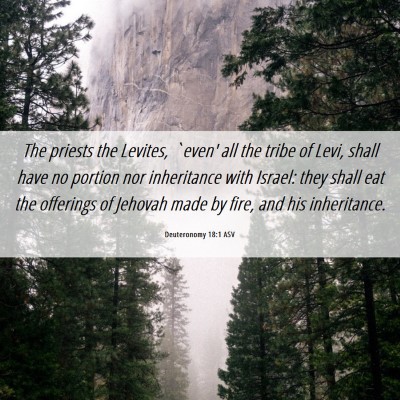 Picture 06 - Deuteronomy 18:1 ASV - The priests the Levites, `even' all the tribe of - Bible Verse Picture