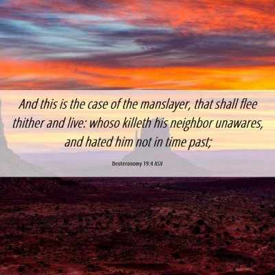 Picture 06 - Deuteronomy 19:4 ASV - And this is the case of the manslayer, that shall - Bible Verse Picture