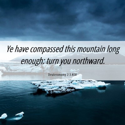 Picture 06 - Deuteronomy 2:3 ASV - Ye have compassed this mountain long enough: turn - Bible Verse Picture