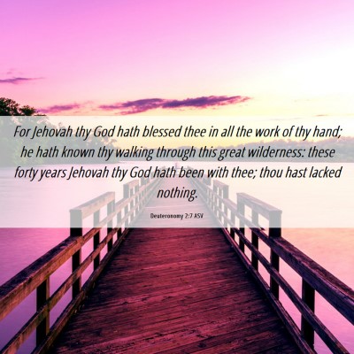 Picture 06 - Deuteronomy 2:7 ASV - For Jehovah thy God hath blessed thee in all the - Bible Verse Picture