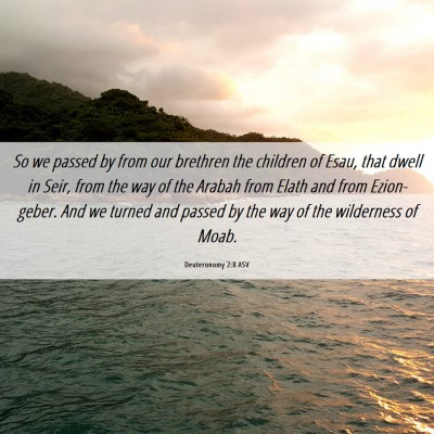 Picture 06 - Deuteronomy 2:8 ASV - So we passed by from our brethren the children of - Bible Verse Picture