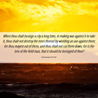 Picture 06 - Deuteronomy 20:19 ASV - When thou shalt besiege a city a long time, in - Bible Verse Picture
