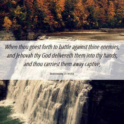 Picture 06 - Deuteronomy 21:10 ASV - When thou goest forth to battle against thine - Bible Verse Picture