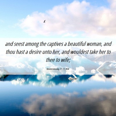 Picture 06 - Deuteronomy 21:11 ASV - and seest among the captives a beautiful woman, - Bible Verse Picture