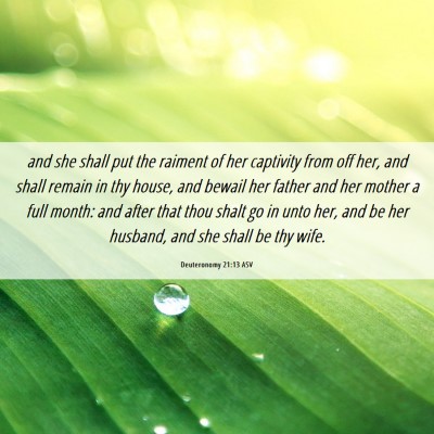 Picture 06 - Deuteronomy 21:13 ASV - and she shall put the raiment of her captivity - Bible Verse Picture