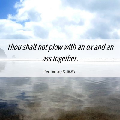 Picture 06 - Deuteronomy 22:10 ASV - Thou shalt not plow with an ox and an ass - Bible Verse Picture