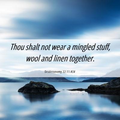 Picture 06 - Deuteronomy 22:11 ASV - Thou shalt not wear a mingled stuff, wool and - Bible Verse Picture