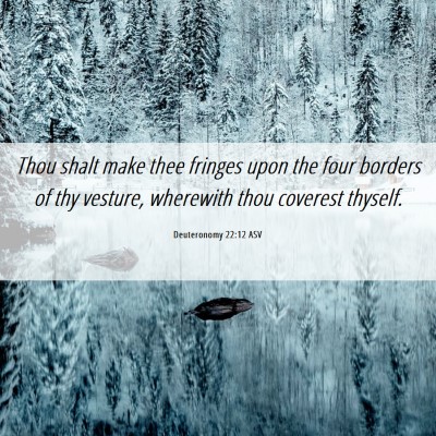Picture 06 - Deuteronomy 22:12 ASV - Thou shalt make thee fringes upon the four - Bible Verse Picture