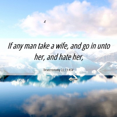 Picture 06 - Deuteronomy 22:13 ASV - If any man take a wife, and go in unto her, and - Bible Verse Picture