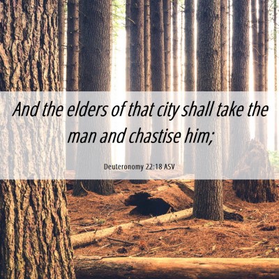 Picture 06 - Deuteronomy 22:18 ASV - And the elders of that city shall take the man - Bible Verse Picture