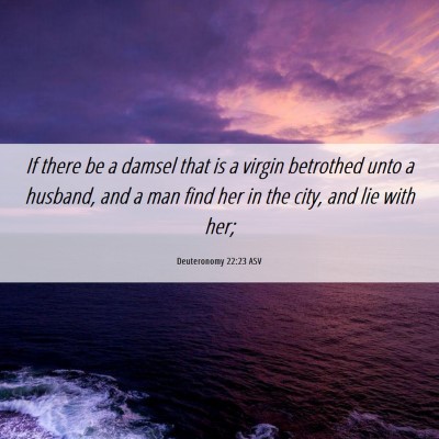 Picture 06 - Deuteronomy 22:23 ASV - If there be a damsel that is a virgin betrothed - Bible Verse Picture