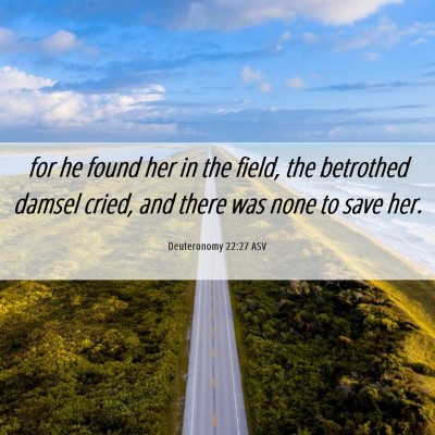 Picture 06 - Deuteronomy 22:27 ASV - for he found her in the field, the betrothed - Bible Verse Picture