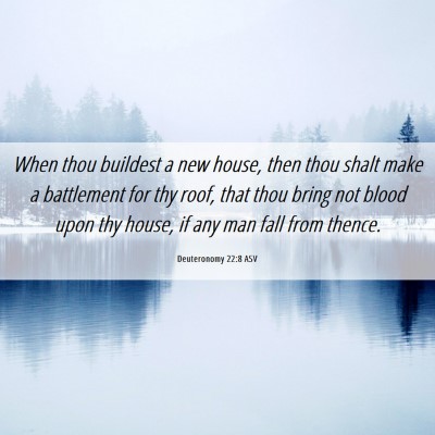 Picture 06 - Deuteronomy 22:8 ASV - When thou buildest a new house, then thou shalt - Bible Verse Picture