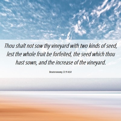 Picture 06 - Deuteronomy 22:9 ASV - Thou shalt not sow thy vineyard with two kinds of - Bible Verse Picture