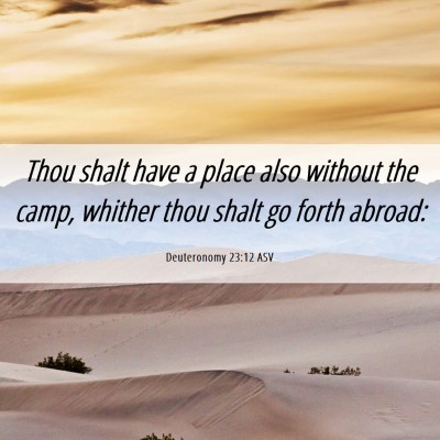 Picture 06 - Deuteronomy 23:12 ASV - Thou shalt have a place also without the camp, - Bible Verse Picture
