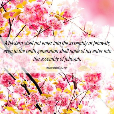 Picture 06 - Deuteronomy 23:2 ASV - A bastard shall not enter into the assembly of - Bible Verse Picture