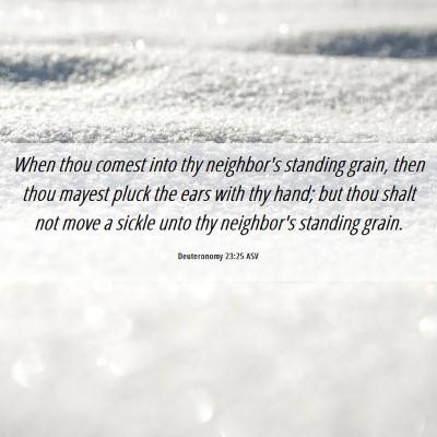 Picture 06 - Deuteronomy 23:25 ASV - When thou comest into thy neighbor's standing - Bible Verse Picture