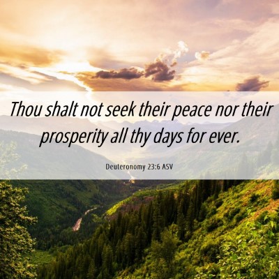 Picture 06 - Deuteronomy 23:6 ASV - Thou shalt not seek their peace nor their - Bible Verse Picture