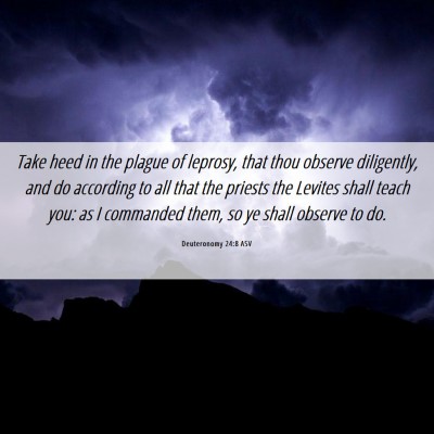 Picture 06 - Deuteronomy 24:8 ASV - Take heed in the plague of leprosy, that thou - Bible Verse Picture