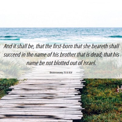 Picture 06 - Deuteronomy 25:6 ASV - And it shall be, that the first-born that she - Bible Verse Picture
