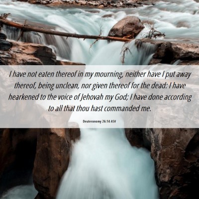 Picture 06 - Deuteronomy 26:14 ASV - I have not eaten thereof in my mourning, neither - Bible Verse Picture