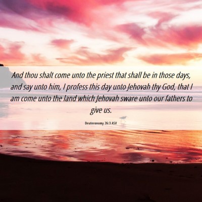 Picture 06 - Deuteronomy 26:3 ASV - And thou shalt come unto the priest that shall be - Bible Verse Picture