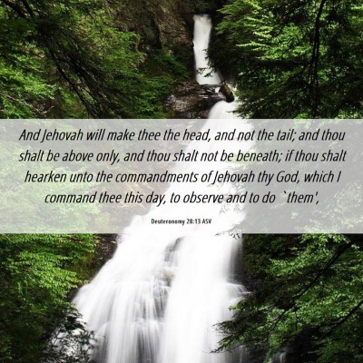 Picture 06 - Deuteronomy 28:13 ASV - And Jehovah will make thee the head, and not the - Bible Verse Picture