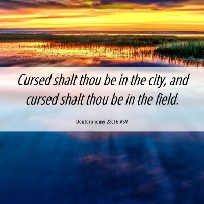 Picture 06 - Deuteronomy 28:16 ASV - Cursed shalt thou be in the city, and cursed - Bible Verse Picture