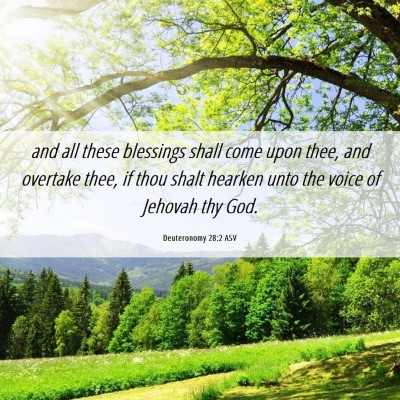 Picture 06 - Deuteronomy 28:2 ASV - and all these blessings shall come upon thee, and - Bible Verse Picture