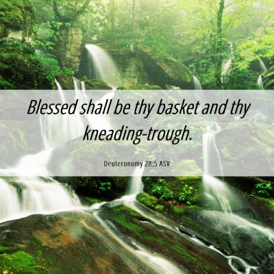Picture 06 - Deuteronomy 28:5 ASV - Blessed shall be thy basket and thy - Bible Verse Picture