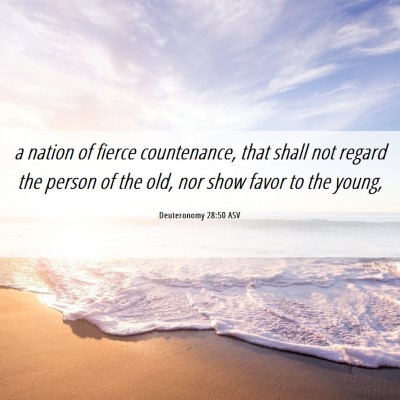 Picture 06 - Deuteronomy 28:50 ASV - a nation of fierce countenance, that shall not - Bible Verse Picture