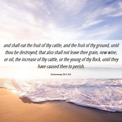 Picture 06 - Deuteronomy 28:51 ASV - and shall eat the fruit of thy cattle, and the - Bible Verse Picture