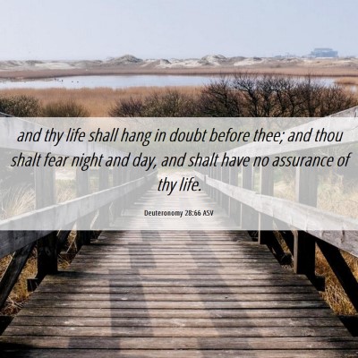 Picture 06 - Deuteronomy 28:66 ASV - and thy life shall hang in doubt before thee; and - Bible Verse Picture