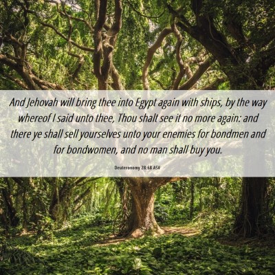 Picture 06 - Deuteronomy 28:68 ASV - And Jehovah will bring thee into Egypt again with - Bible Verse Picture