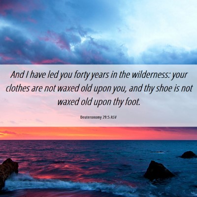 Picture 06 - Deuteronomy 29:5 ASV - And I have led you forty years in the wilderness: - Bible Verse Picture