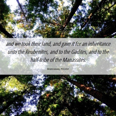 Picture 06 - Deuteronomy 29:8 ASV - and we took their land, and gave it for an - Bible Verse Picture