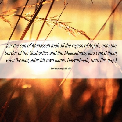 Picture 06 - Deuteronomy 3:14 ASV - Jair the son of Manasseh took all the region of - Bible Verse Picture