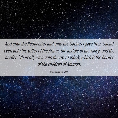 Picture 06 - Deuteronomy 3:16 ASV - And unto the Reubenites and unto the Gadites I - Bible Verse Picture