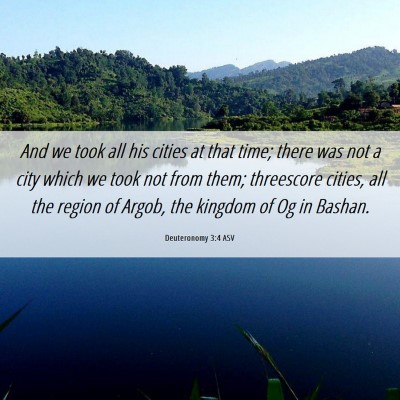 Picture 06 - Deuteronomy 3:4 ASV - And we took all his cities at that time; there - Bible Verse Picture