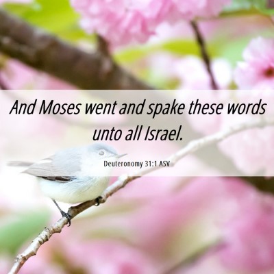 Picture 06 - Deuteronomy 31:1 ASV - And Moses went and spake these words unto all - Bible Verse Picture
