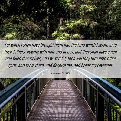 Picture 06 - Deuteronomy 31:20 ASV - For when I shall have brought them into the land - Bible Verse Picture